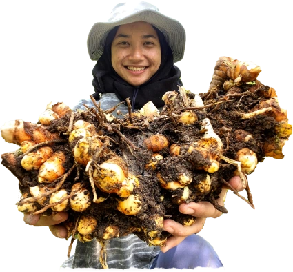 Kebunurai Organik Shop