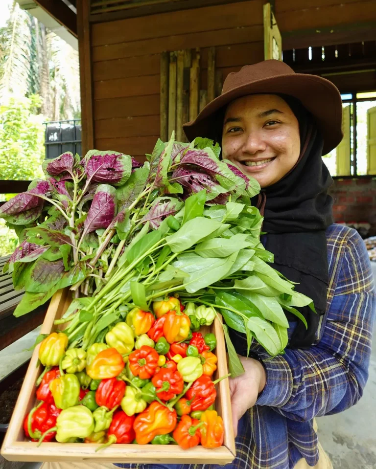 kebun urai